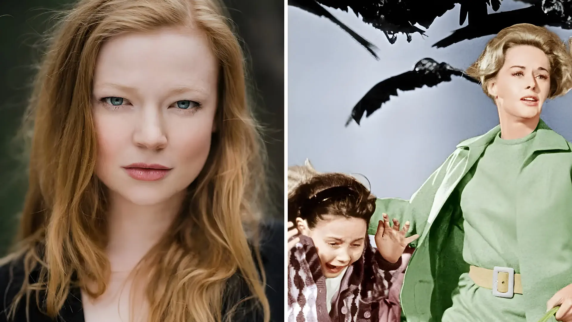 چهره سارا اسنوک (Sarah Snook) در کنار صحنه‌ای از فیلم پرندگان (The Birds)
