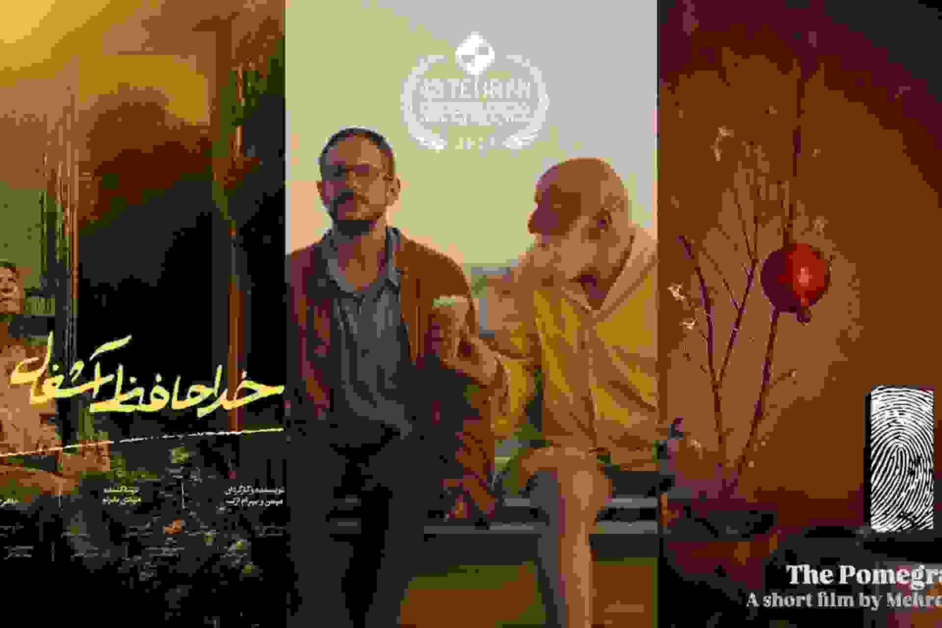 نقد فیلمهای کوتاه جشنواره فیلم تهران ۱۴۰۴