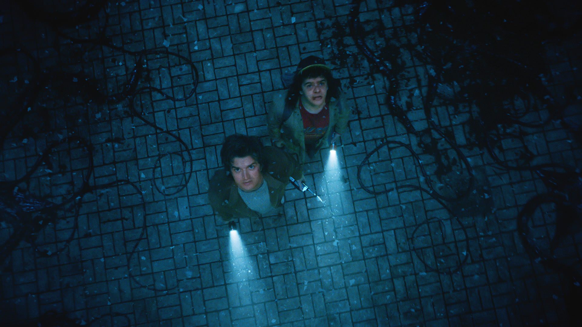 استیو و داستین در دنیای وارونه در سریال Stranger Things 5