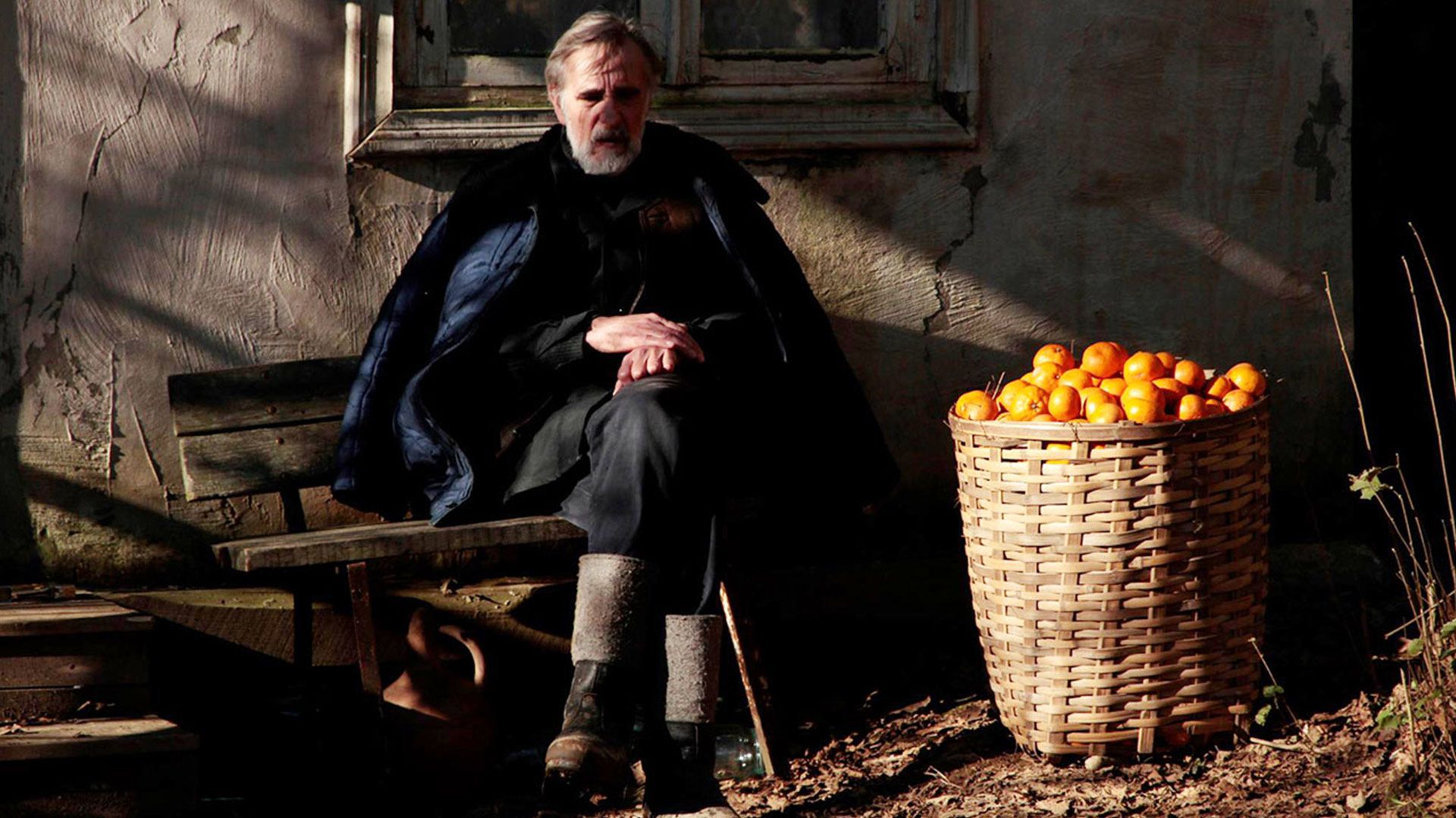 پیرمرد در کنار نارنگی‌ها در فیلم Tangerines