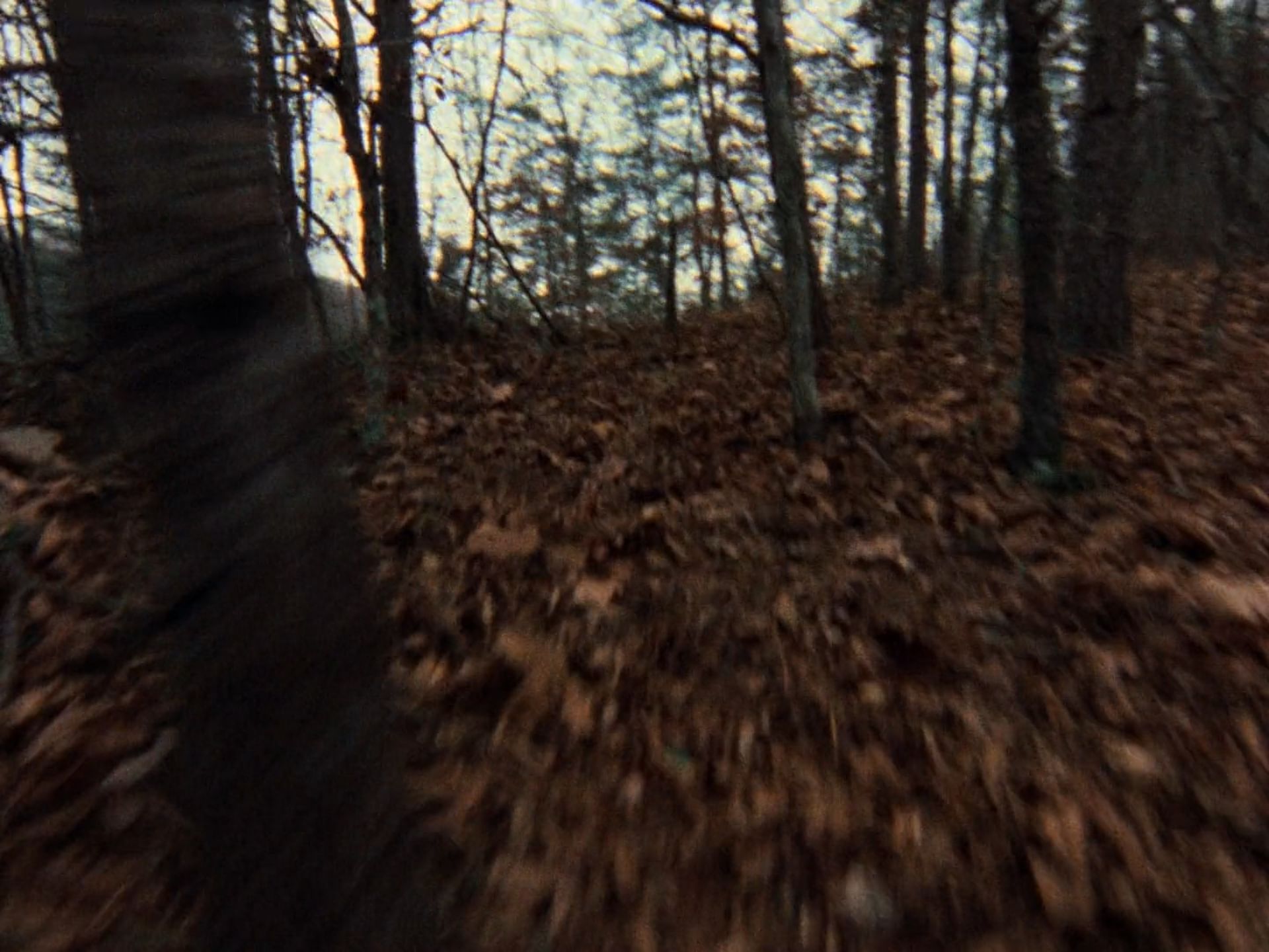 افتتاحیه فیلم The Evil Dead