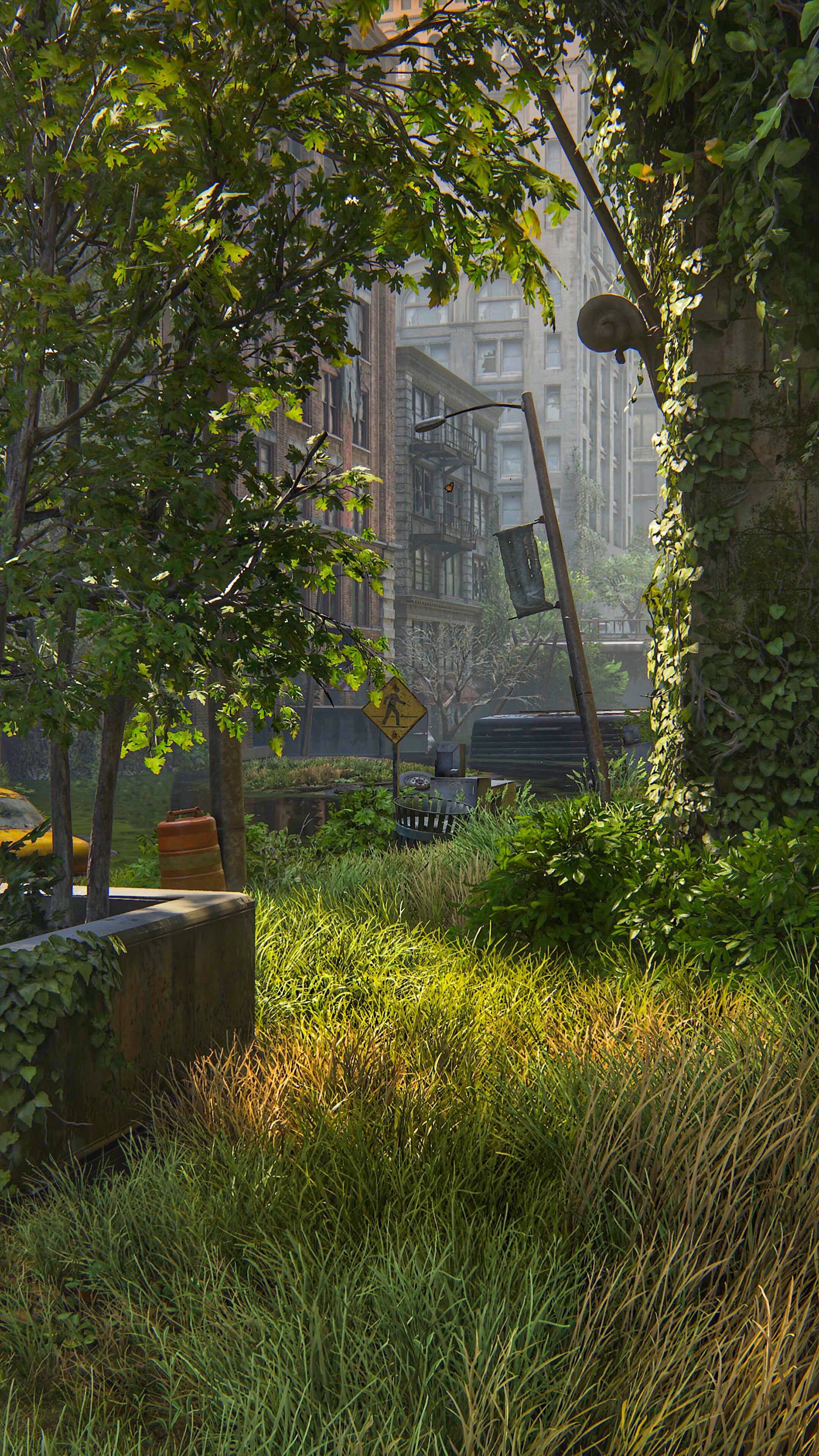 تصرف خیابان‌ها توسط طبیعت در بازی the last of us
