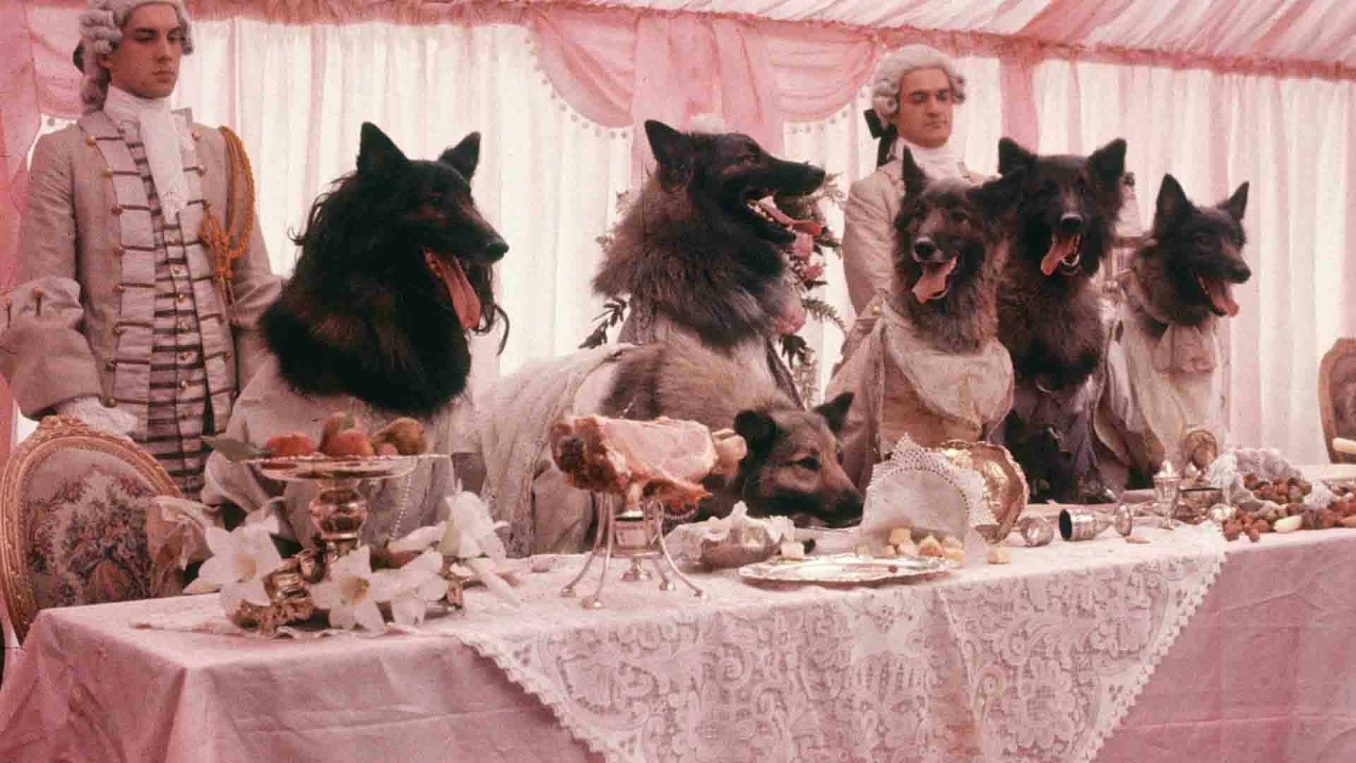 حضور سگ‌ها/گرگ‌ها سر میز غذا در فیلم The Company of Wolves