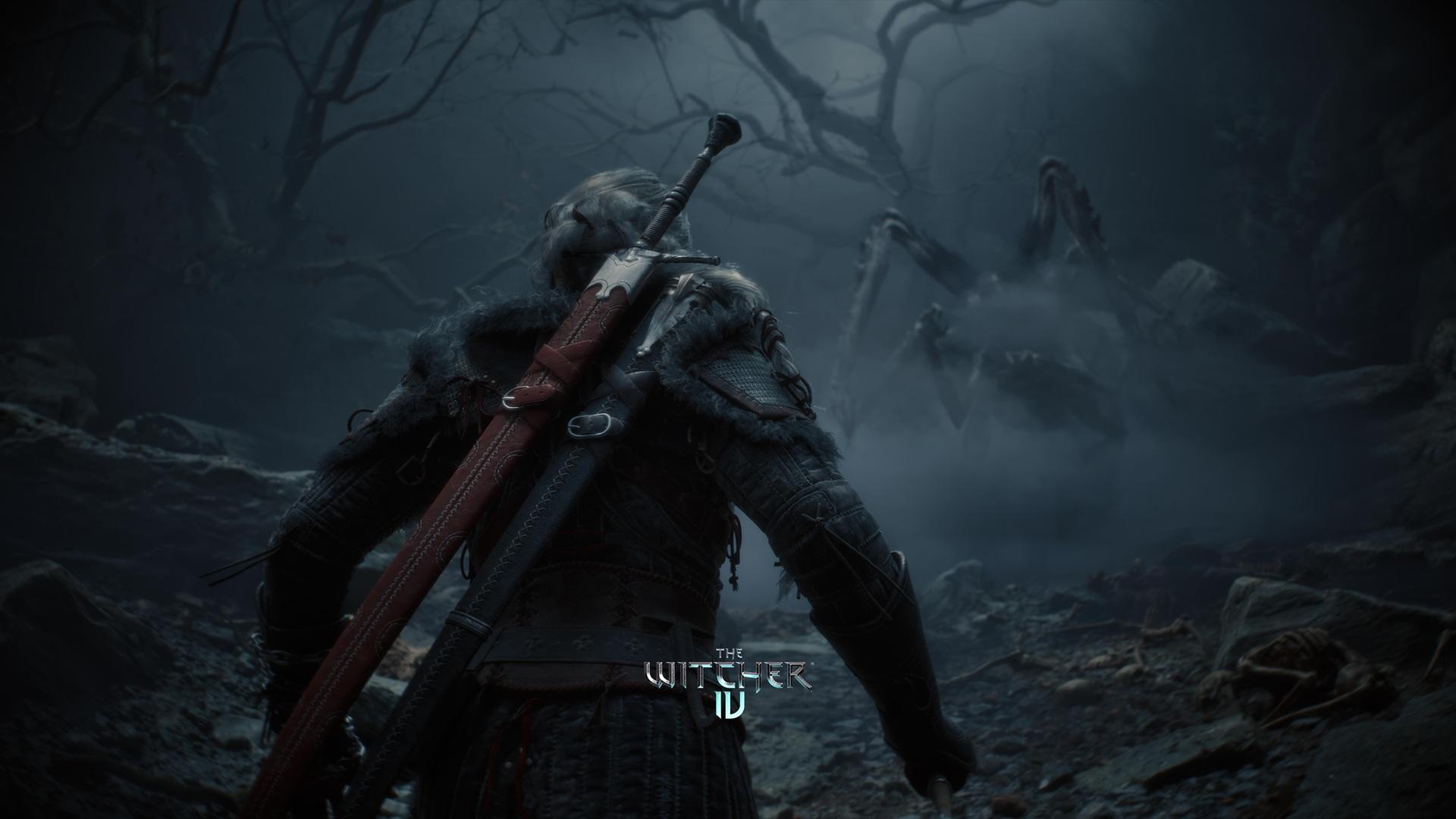پوستر بازی Witcher 4